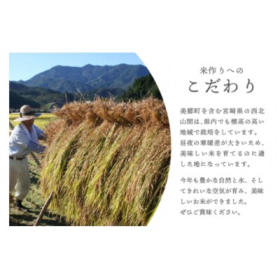 令和5年産 ひのひかり 5kg×1袋 古久保米店 宮崎県 美郷町 宮崎県産 [31bi0003]