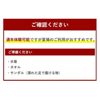 体験 ウェイクボード 初心者体験コース SHOP川口機工 宮崎県 美郷町 [31bj0013]