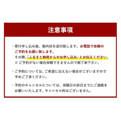 体験 ウェイクボード 初心者体験コース SHOP川口機工 宮崎県 美郷町 [31bj0013]