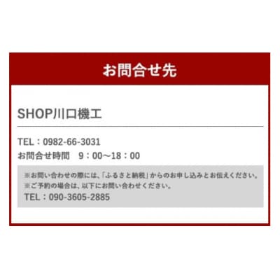 体験 ウェイクボード 初心者体験コース SHOP川口機工 宮崎県 美郷町 [31bj0013]