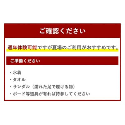 体験 ウェイクボード 初心者コース SHOP川口機工 宮崎県 美郷町 [31bj0014]