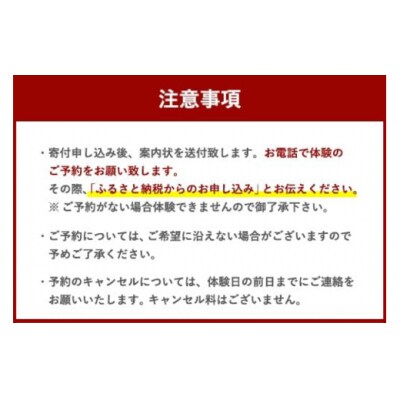 体験 ウェイクボード 初心者コース SHOP川口機工 宮崎県 美郷町 [31bj0014]