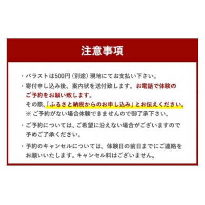 体験 ウェイクボード 上級者コース SHOP川口機工 宮崎県 美郷町 [31bj0015]