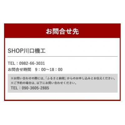 体験 ウェイクボード 上級者コース SHOP川口機工 宮崎県 美郷町 [31bj0015]