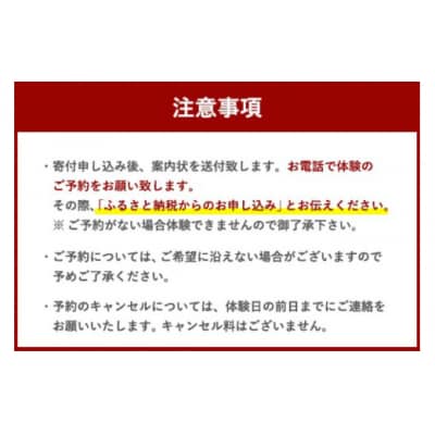 体験 ウェイクサーフィン 15分 SHOP川口機工 宮崎県 美郷町 [31bj0016]