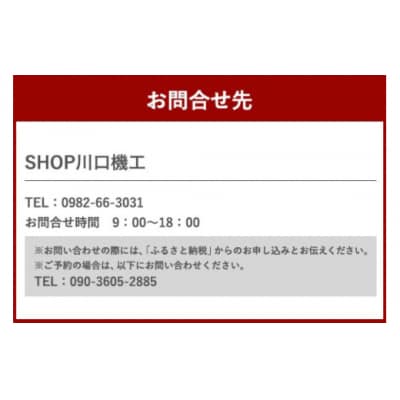 体験 ウェイクサーフィン 15分 SHOP川口機工 宮崎県 美郷町 [31bj0016]