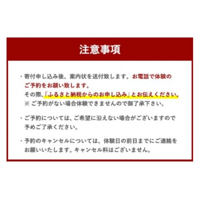 体験 ウェイクサーフィン 1時間 SHOP川口機工 宮崎県 美郷町 [31bj0017]