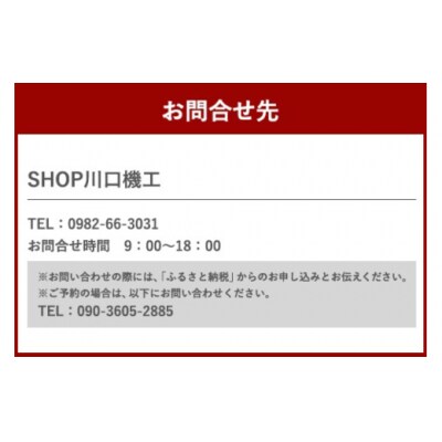 体験 ウェイクサーフィン 1時間 SHOP川口機工 宮崎県 美郷町 [31bj0017]