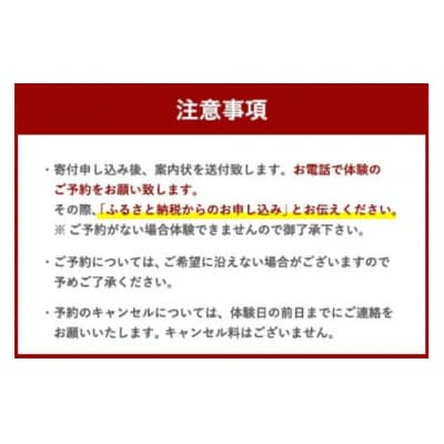 体験 ウェイクサーフィン 2時間 SHOP川口機工 宮崎県 美郷町 [31bj0018]