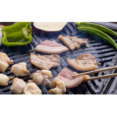 【準備でき次第発送】6回 定期便 豚 鶏肉 小分け お料理 セット [31as0115]