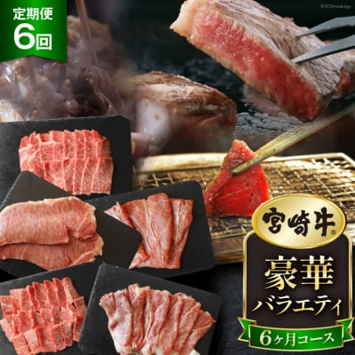 6回 定期便 宮崎牛 豪華 バラエティ 6ヶ月コース 合計4.6kg [31ag0139]