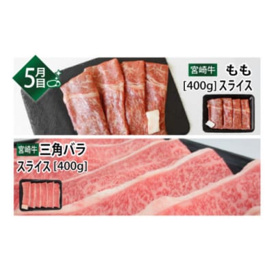 6回 定期便 宮崎牛 豪華 バラエティ 6ヶ月コース 合計4.6kg [31ag0139]