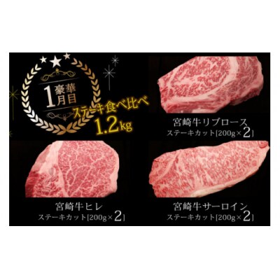 6回 定期便 宮崎牛 贅沢 6ヶ月コース 合計11.6kg マルミヤストア [31ag0138]