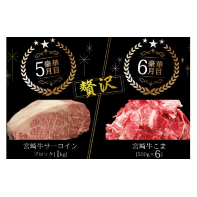 6回 定期便 宮崎牛 贅沢 6ヶ月コース 合計11.6kg マルミヤストア [31ag0138]