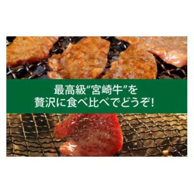 3回 定期便 宮崎牛 焼き肉 食べ比べ 3ヶ月コース 合計2.2kg [31ag0137]