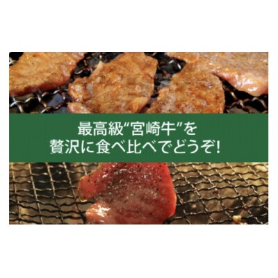 3回 定期便 宮崎牛 スペシャル 3ヶ月コース 合計5.1kg [31ag0135]