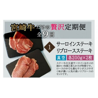 9回 定期便 宮崎牛 食べ比べ 贅の極み 9ヶ月 コース 合計 5.48kg [31ag0134]