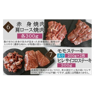 9回 定期便 宮崎牛 食べ比べ 贅の極み 9ヶ月 コース 合計 5.48kg [31ag0134]