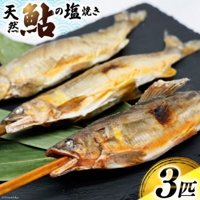 鮎 天然鮎 小丸川天然光鮎 ( 鮎塩焼き 3匹 ) 小丸川天然鮎光房 [31af0003]