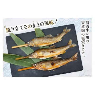 鮎 天然鮎 小丸川天然光鮎 ( 鮎塩焼き 3匹 ) 小丸川天然鮎光房 [31af0003]