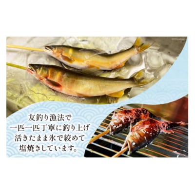 鮎 天然鮎 小丸川天然光鮎 ( 鮎塩焼き 3匹 ) 小丸川天然鮎光房 [31af0003]