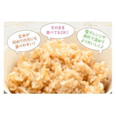 玄米 パック ヒノヒカリ お助けごはん 200g 4p セット [31bl0005]