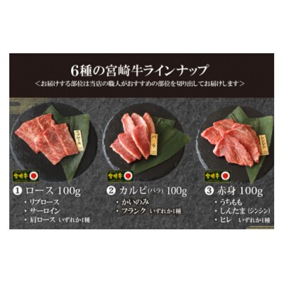 【宮崎牛】 特選 食べ比べ 焼肉 6種盛り 600g マルミヤストア 宮崎県 [31ag0128]