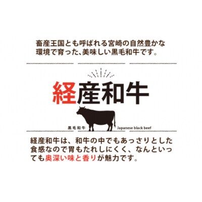 宮崎県産 黒毛和牛 クラシタロース スライス 500g マルミヤストア 宮崎県 [31ag0126]