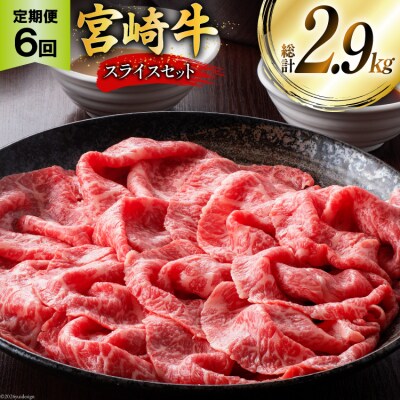 牛肉 定期便 宮崎牛スライスセット 6ヶ月定期便 ミヤチク 宮崎県 美郷町 [31au0107]
