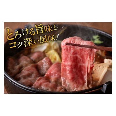 牛肉 定期便 宮崎牛スライスセット 6ヶ月定期便 ミヤチク 宮崎県 美郷町 [31au0107]