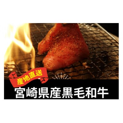 宮崎県産 黒毛 和牛 リブロース ブロック 1kg マルミヤストア 宮崎県 [31ag0125]