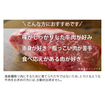 牛肉 黒毛和牛 宮崎県産黒毛和牛 焼肉 & スライス セット 各 300g [31ag0123]