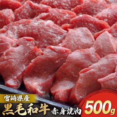 宮崎県産 黒毛和牛 赤身 焼肉 500g トレイ包装 マルミヤストア 宮崎県 [31ag0122]