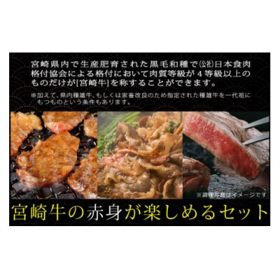 【宮崎牛】 赤身 セット ステーキ 200g 焼肉 150g スライス [31ag0120]