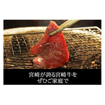 【宮崎牛】 焼肉 セット ウデ 150g バラ モモ 食べ比べ 合計450g [31ag0119]
