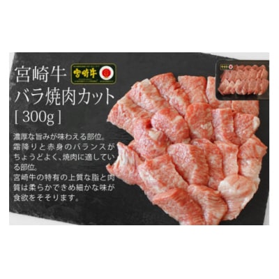 【宮崎牛】特上セット ロース ステーキ 100g×2 & 霜降り スライス [31ag0114]