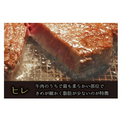 【宮崎牛】 宮崎牛 ヒレ ブロック 500g マルミヤストア 宮崎県 美郷町 [31ag0112]