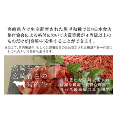 牛肉 宮崎牛 牛こま 400g & ミンチ 600g 計 1kg [31ag0106]