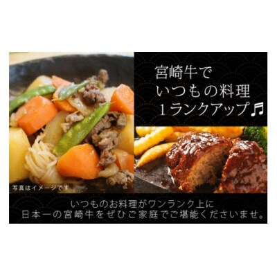 牛肉 宮崎牛 牛こま 400g & ミンチ 600g 計 1kg [31ag0106]