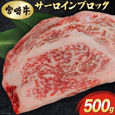 【宮崎牛】 サーロイン ブロック 500g マルミヤストア 宮崎県 美郷町 肉 [31ag0104]
