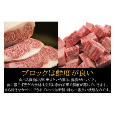 【宮崎牛】 サーロイン ブロック 500g マルミヤストア 宮崎県 美郷町 肉 [31ag0104]