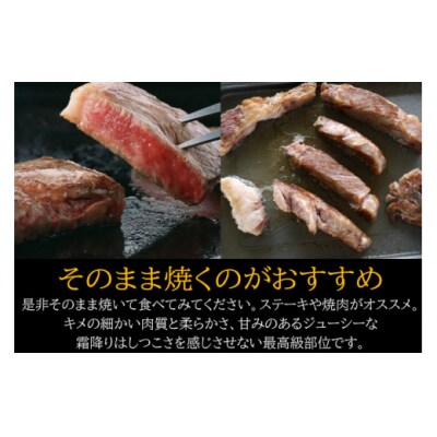 【宮崎牛】 サーロイン ブロック 500g マルミヤストア 宮崎県 美郷町 肉 [31ag0104]