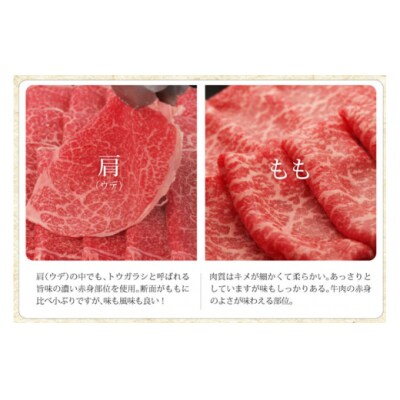 【宮崎牛】 赤身 スライス 500g マルミヤストア 宮崎県 美郷町 肉 牛 [31ag0100]