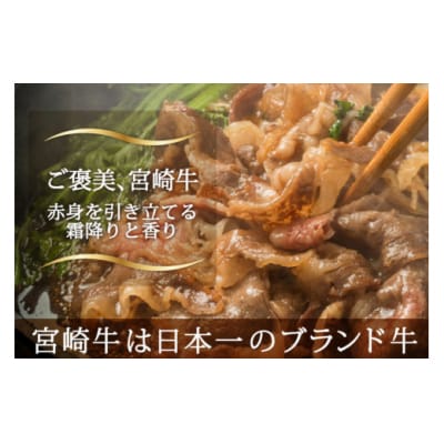 【宮崎牛】 霜降り スライス 500g マルミヤストア 宮崎県 美郷町 肉 牛 [31ag0099]