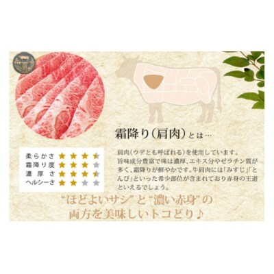 【宮崎牛】 霜降り スライス 500g マルミヤストア 宮崎県 美郷町 肉 牛 [31ag0099]