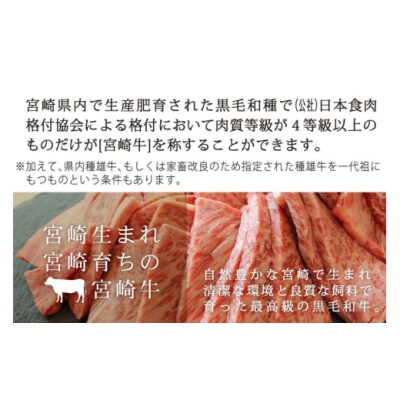 【宮崎牛】 ロース 焼肉 500g 黒毛和牛 A4 A5等級 マルミヤストア [31ag0096]