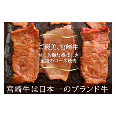 【宮崎牛】 ロース 焼肉 500g 黒毛和牛 A4 A5等級 マルミヤストア [31ag0096]