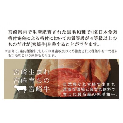 牛肉 ブロック 宮崎牛 スネ肉 800g マルミヤストア 宮崎県 美郷町 肉 [31ag0095]