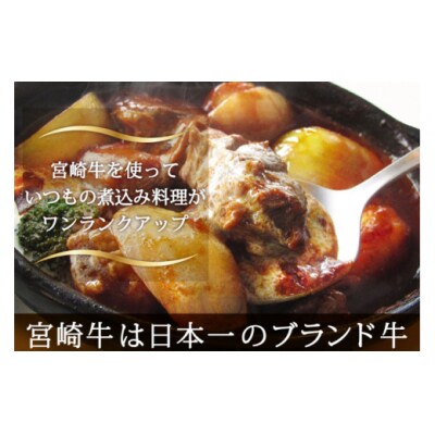 牛肉 ブロック 宮崎牛 スネ肉 800g マルミヤストア 宮崎県 美郷町 肉 [31ag0095]