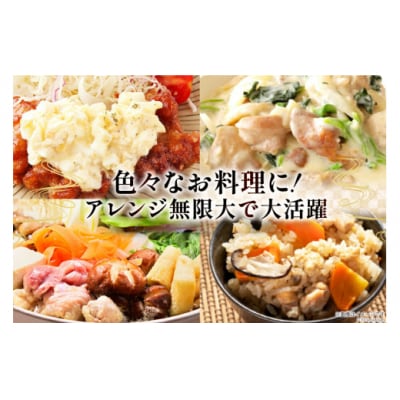 鶏肉 12回 定期便 もも肉 若鶏もも肉 切身 500g ×6p 総計 [31ai0027]